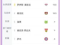 开云体育在线下载-拜仁慕尼黑中场再现精彩进球，领跑射手榜的简单介绍